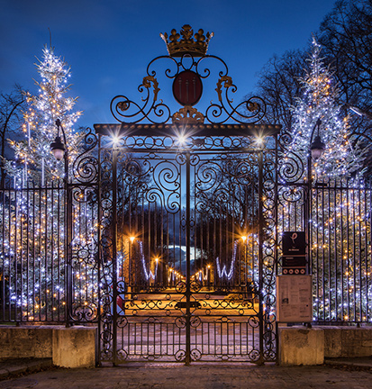 Pose, dépose et maintenance des illuminations de Noël (Poitiers)